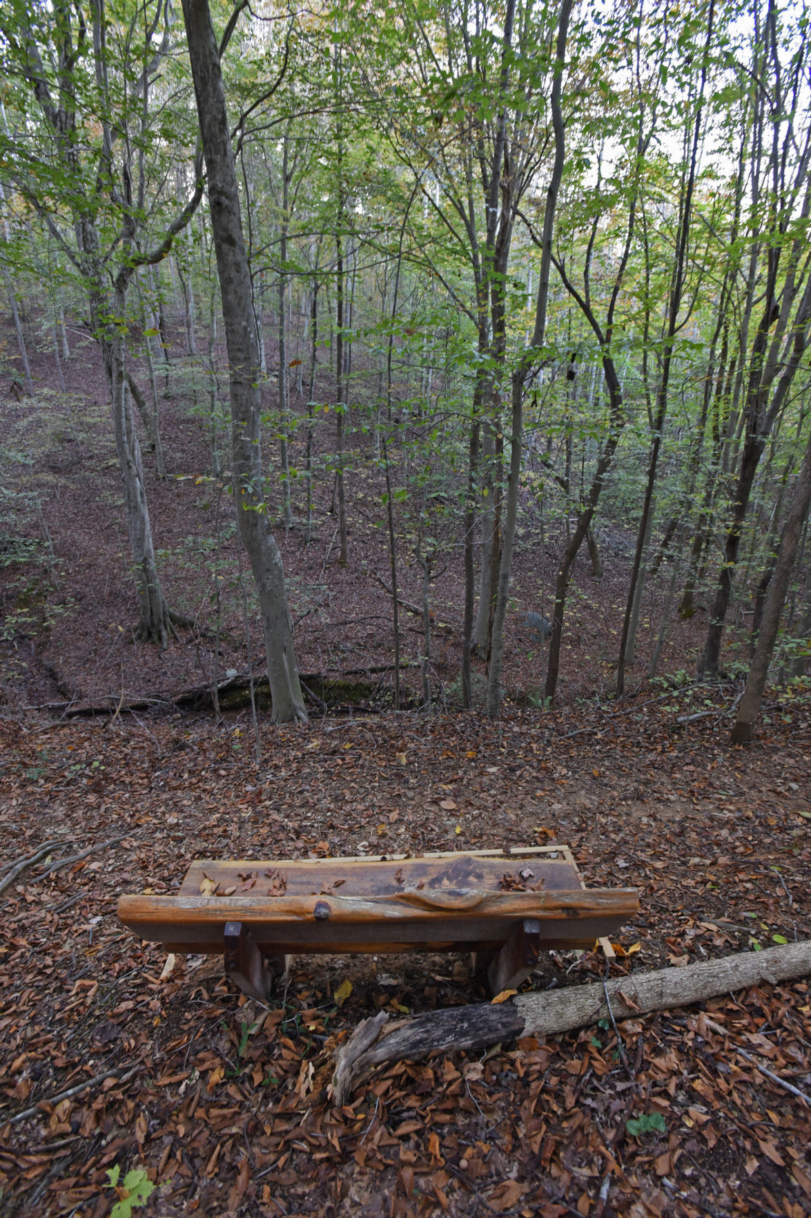 Knight Brown Nature Preserve